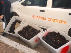 8 mila ricci di mare pescati abusivamente a Santa Marinella