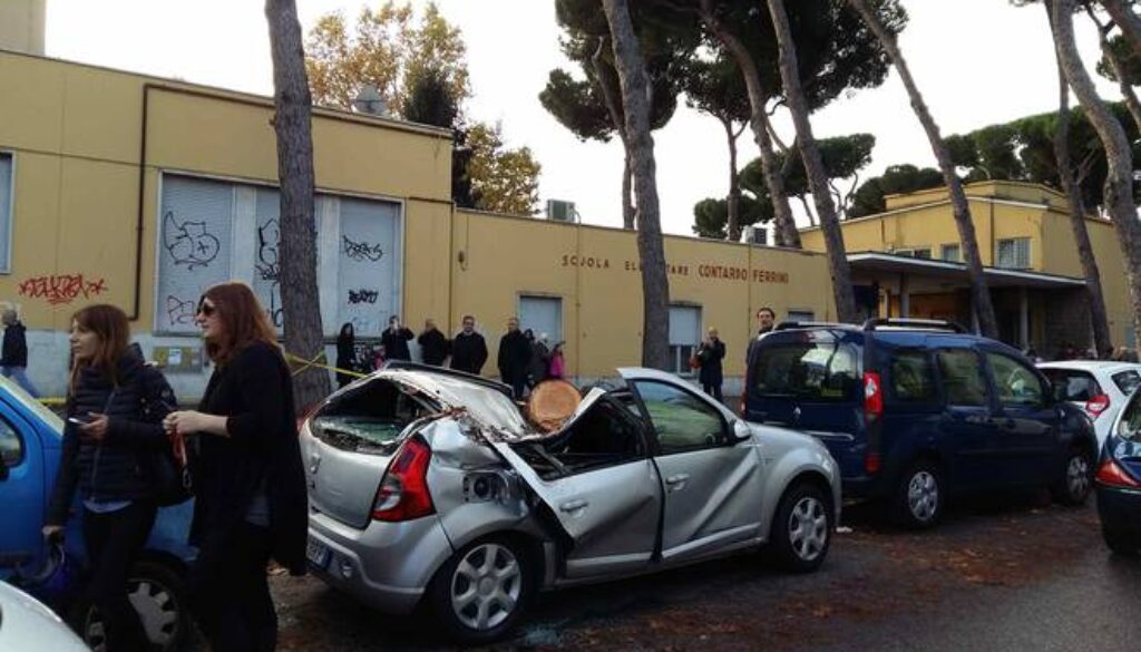 Albero cade su auto davanti a una scuola elementare in zona Vescovio