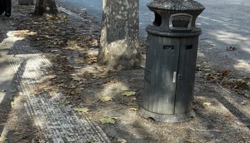 Garipoli Municipio XI pulizia