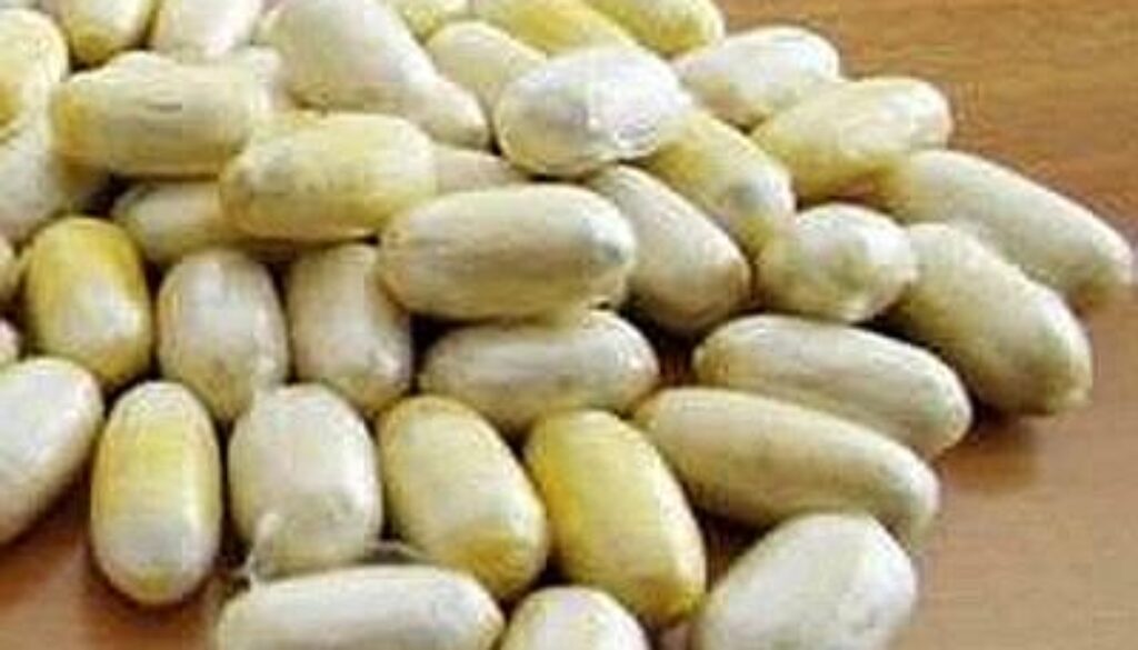 Ingerisce troppi ovuli di droga e si sente male in zona Cassia