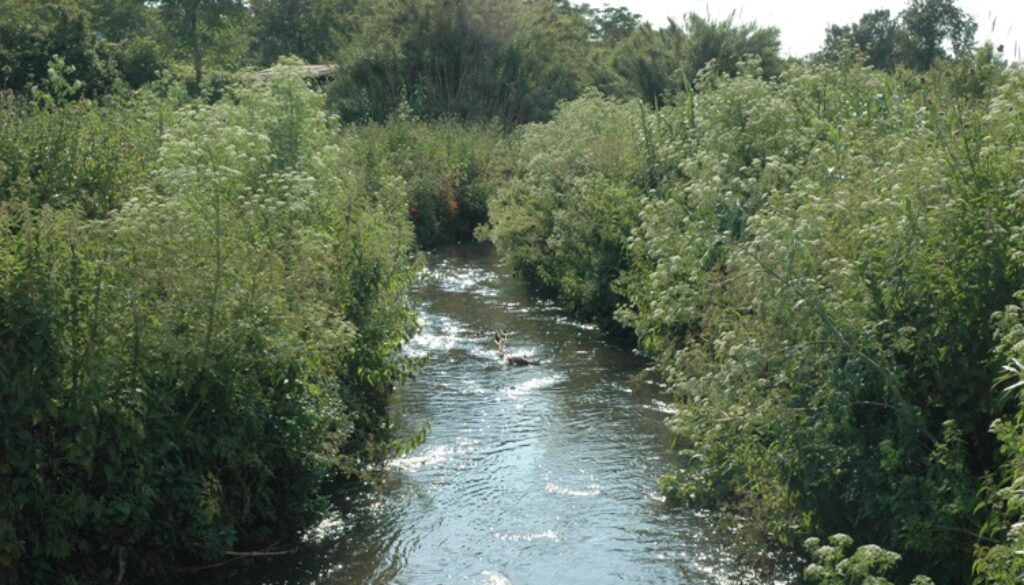 Sequestrata un'area piena di rifiuti industriali al Parco della Caffarella