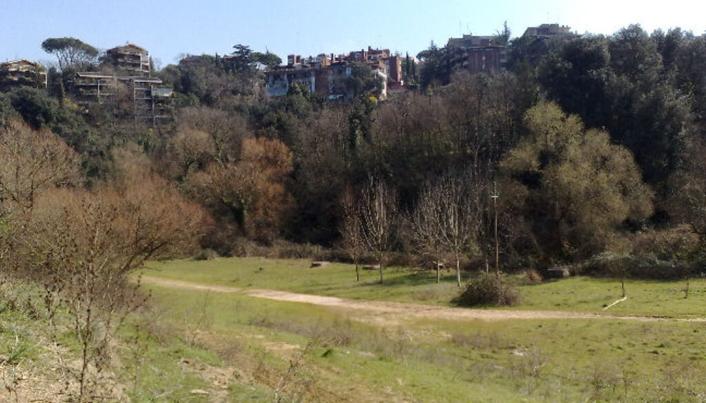 Passeggia nel Parco dell'Insugherata e scompare