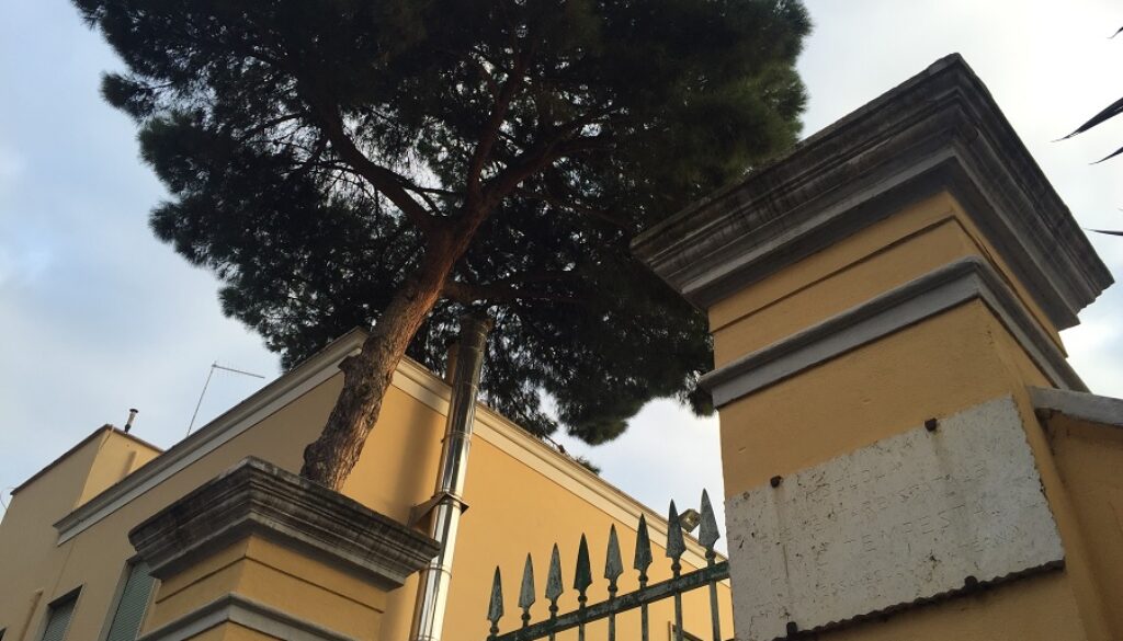 Albero pericolante Municipio XI Garipoli