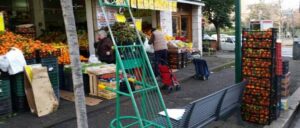 FRUTTERIA_PIAZZA FRUTTERIA_PIAZZA