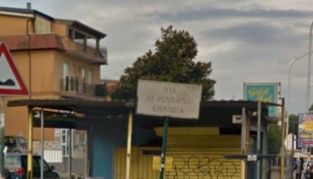 Fontana Candida