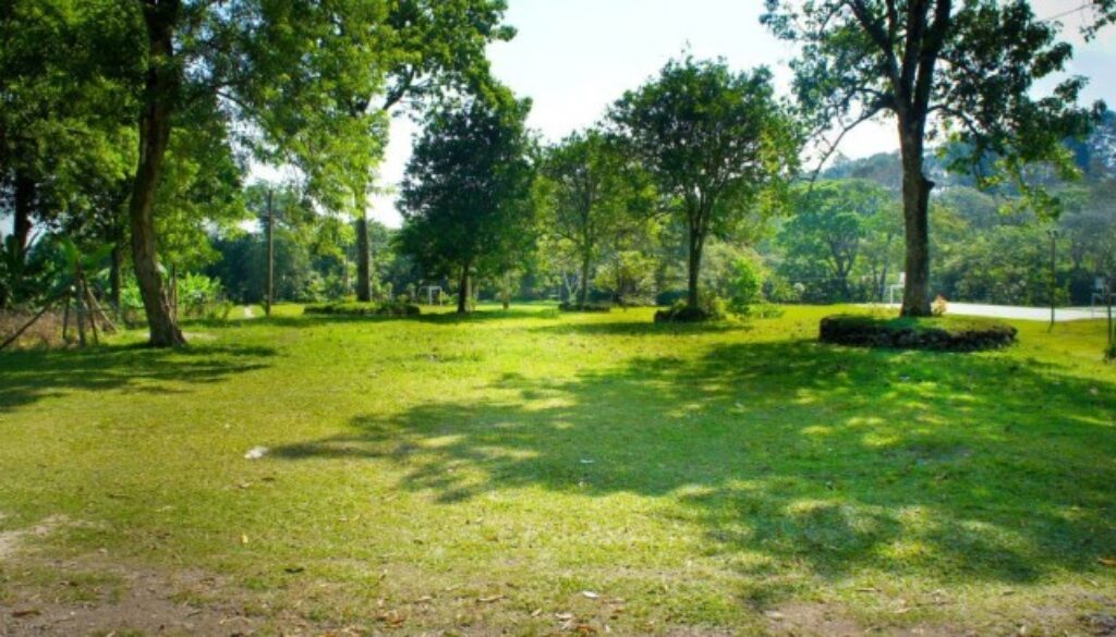 Municipio XV Torquati Adottiamo un'area verde