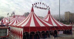 Elefante salvato dai pompieri in un circo a Boccea dopo un malore