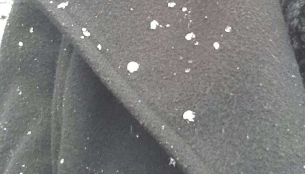 Torna la neve a Roma
