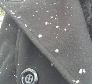 Torna la neve a Roma