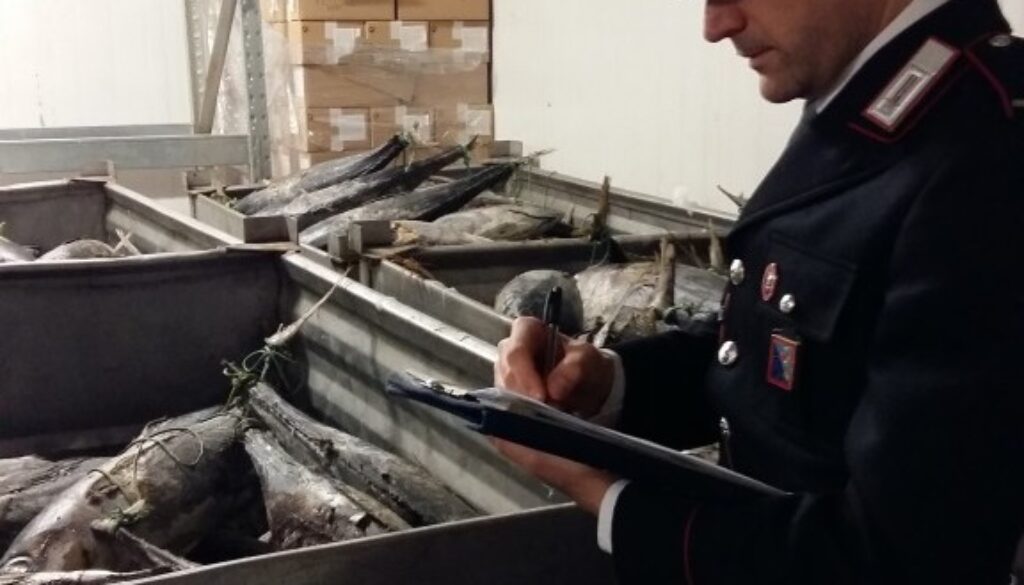 MONTEROTONDO-il-tonno-sequestrato-1-e1454421262250