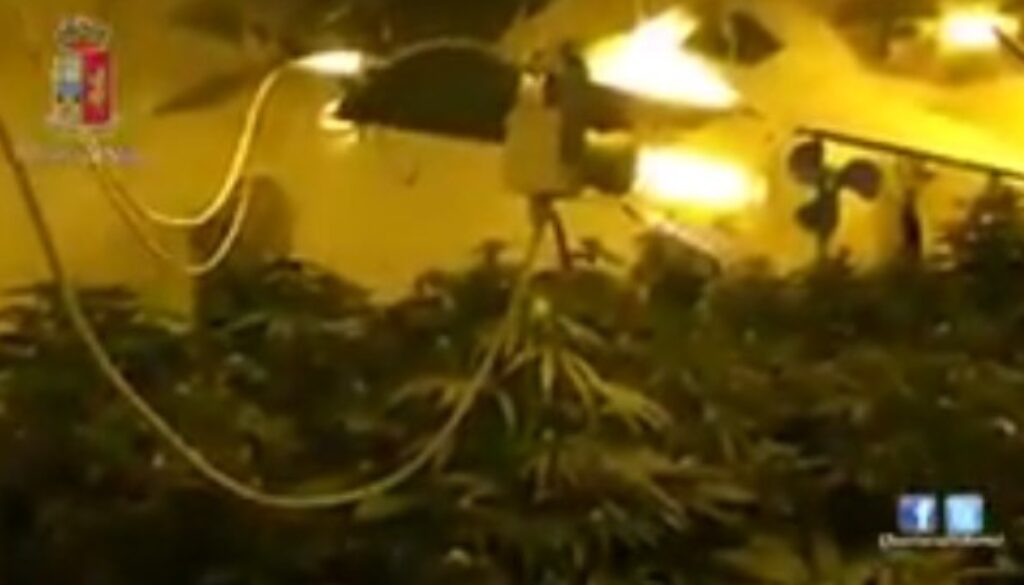 Marijuana Zagarolo