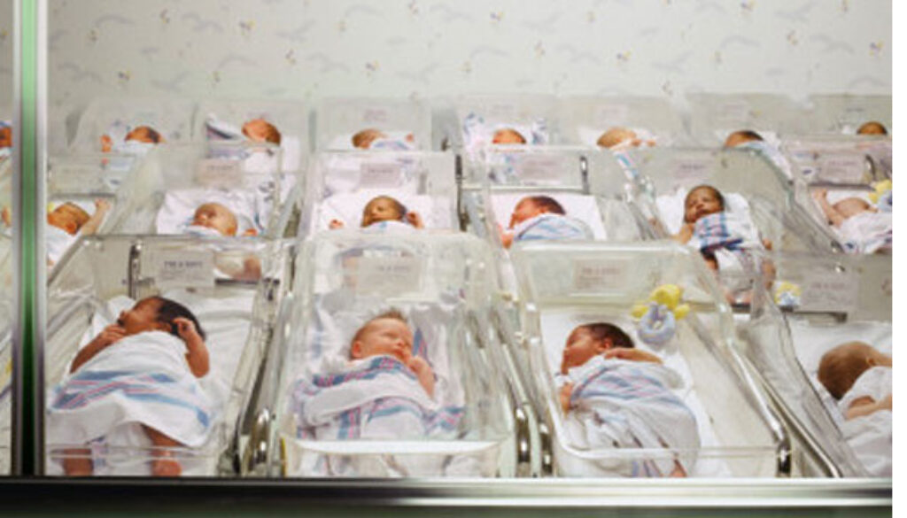 newborns