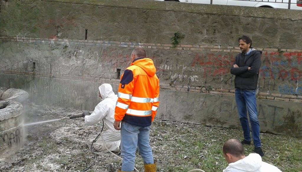Ad Albano iniziati lavori di riqualificazione Ad Albano iniziati lavori di riqualificazione