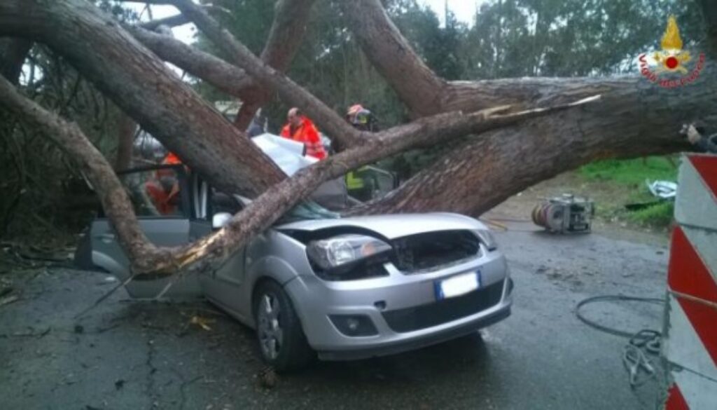 Albero cade su auto a Tor San Lorenzo