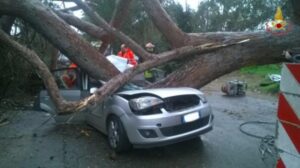 Albero cade su auto a Tor San Lorenzo