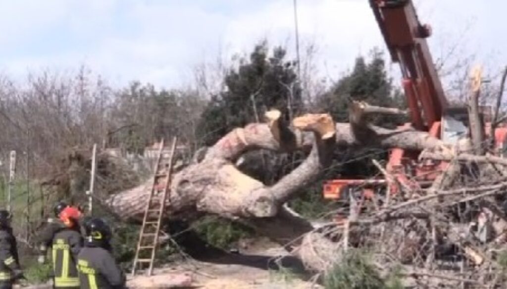 Albero colpisce motociclista a Prati