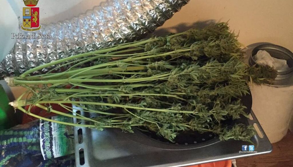 Droga e fucili in casa mentre è ai domiciliari a Primavalle
