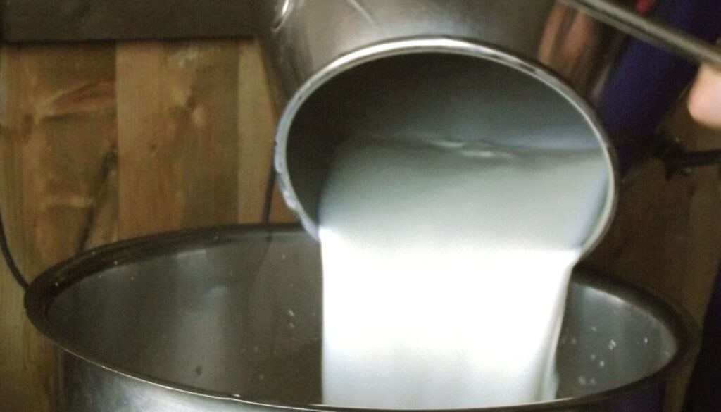 Latte sospetto a Monte Compatri