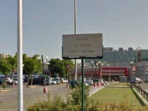 Laurentina Laurentina