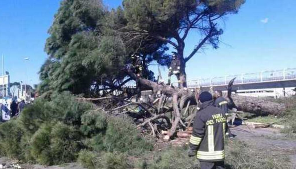 Vento a Roma
