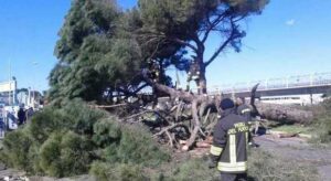 Vento a Roma