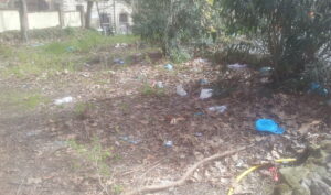 rsz_aduc_giardino_pubblico_pieno_di_rifiuti_vicino_piazza_del_popolo rsz_aduc_giardino_pubblico_pieno_di_rifiuti_vicino_piazza_del_popolo