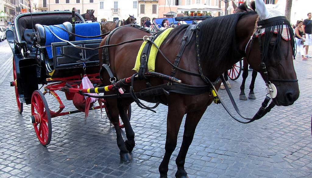 Botticelle sotto accusa a Roma