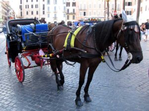 Botticelle sotto accusa a Roma