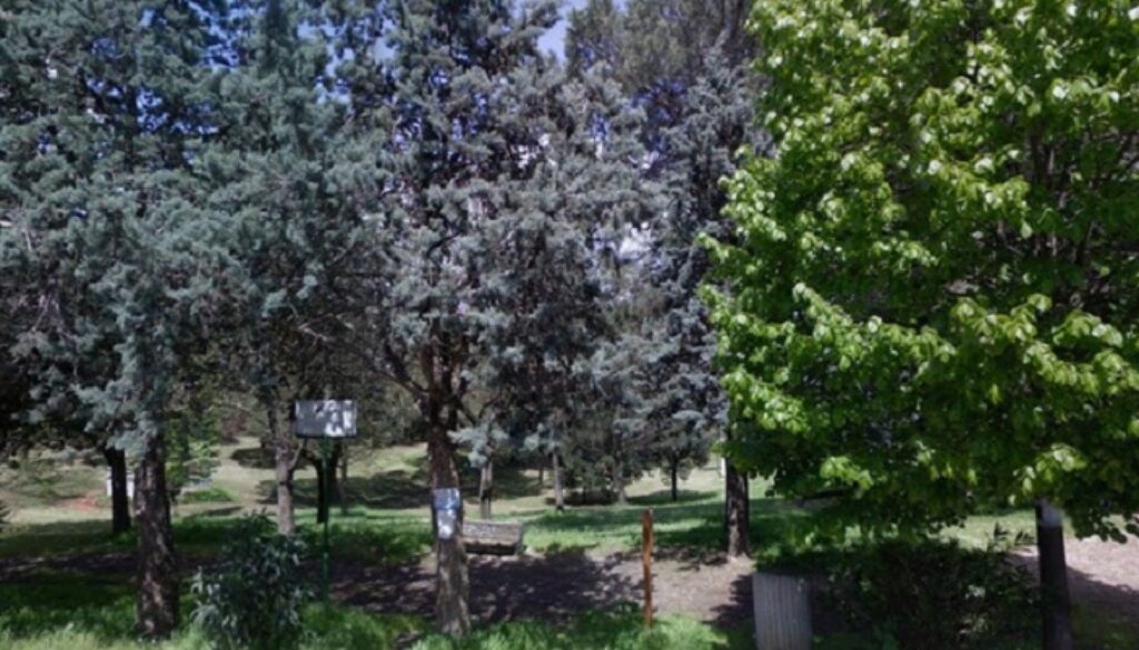 Municipio XV parco Colli d'Oro