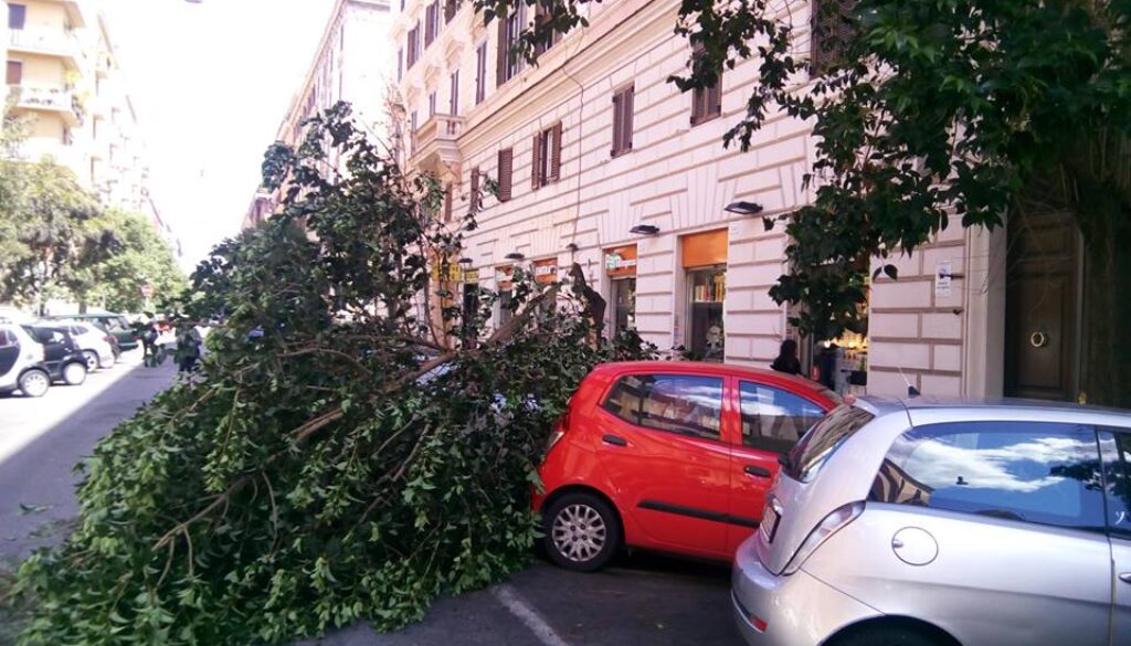 Rimane intrappolata in auto
