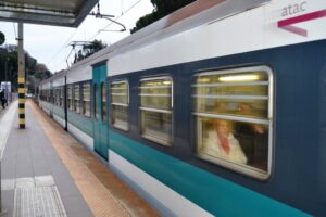 Taglia un albero e blocca la linea Roma-Viterbo Taglia un albero e blocca la linea Roma-Viterbo