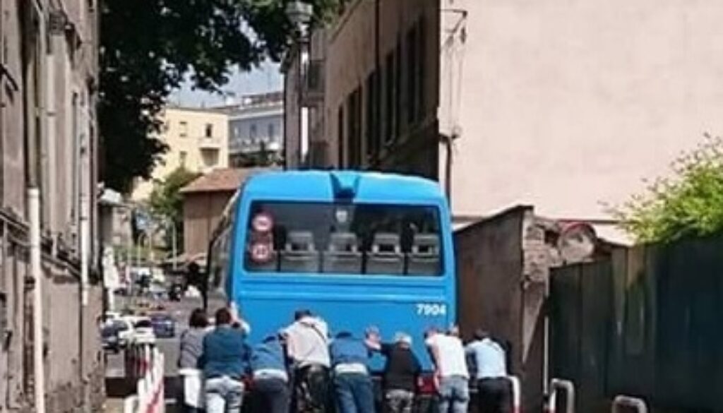 1765712_cotral