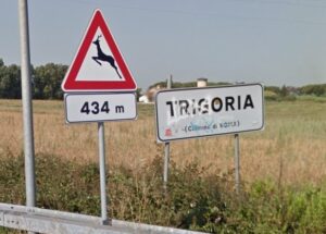 Bulli a Trigoria