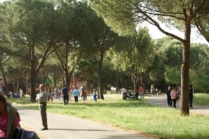 Parco Papacci