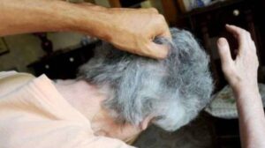 Picchiano-e-rapinano-una-85-enne-in-casa-allEur Picchiano-e-rapinano-una-85-enne-in-casa-allEur