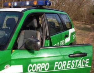 corpo-forestale (2)
