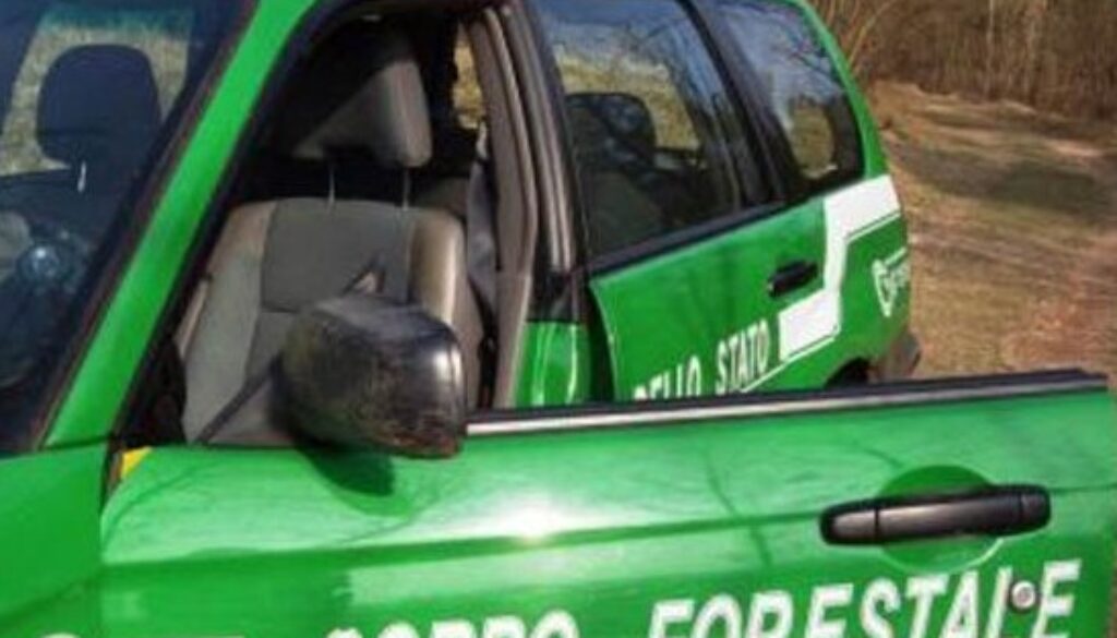 corpo-forestale (2)
