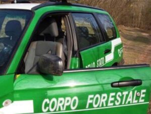 corpo-forestale (2)