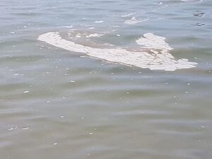 170337861-c1d8f136-6caa-4a58-8482-137f44569d1d