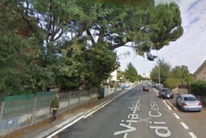 Municipio XV stazione di Cesano albero pericolante
