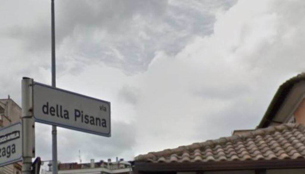 Pisana Pisana