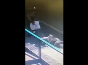 Ruba un cane Ruba un cane