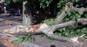 Schermata 2016-07-09 alle 10.11.26 Schermata 2016-07-09 alle 10.11.26