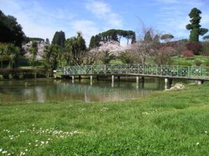 Villa Pamphilj emergenza pesci