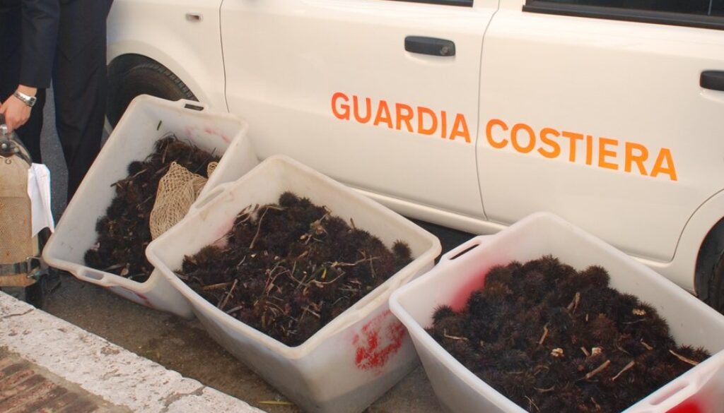8-mila-ricci-di-mare-pescati-abusivamente-a-Santa-Marinella