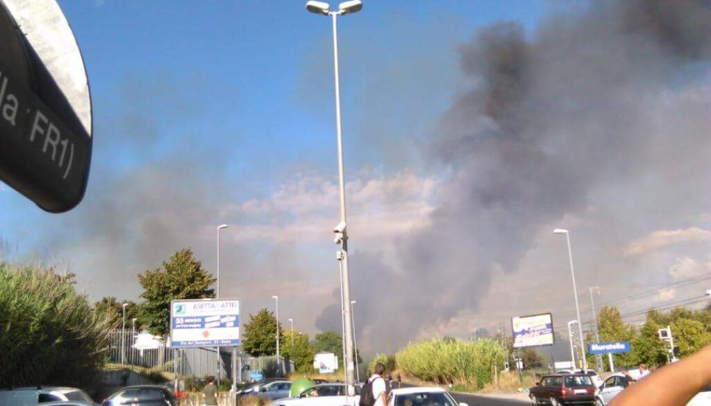Incendio Magliana canile Muratella via Luigi Candoni