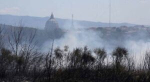 Incendio Parco del Pineto Incendio Parco del Pineto