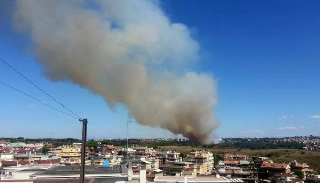incendioparco_pineto