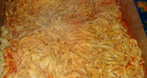 sagra-sagnozzi-riofreddo_1200x628_