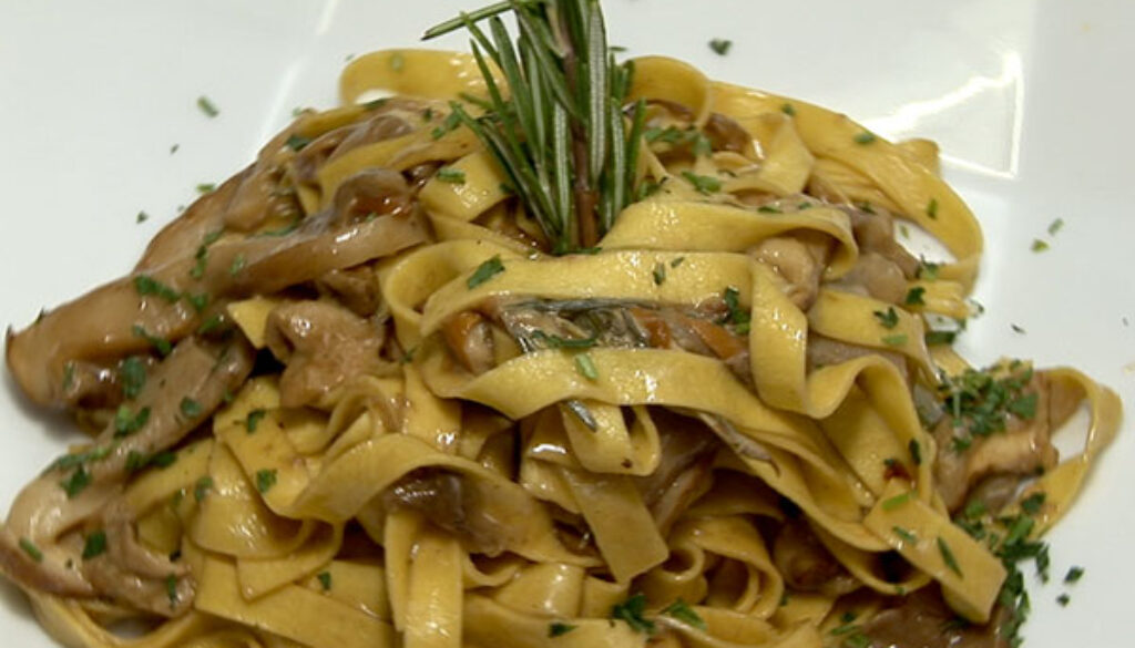 vichi-funghi-campionigratis.info_